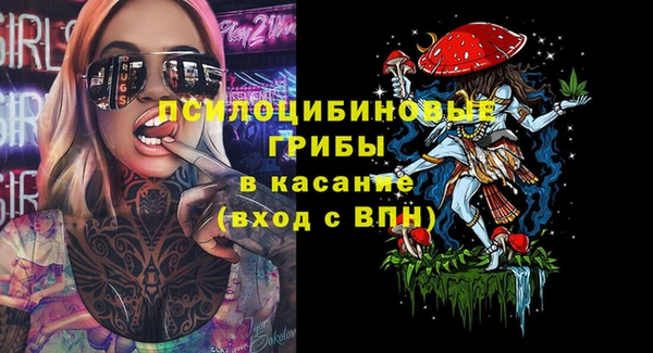 мяу мяу мука Магадан