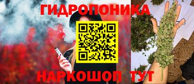 спиды Гусь-Хрустальный