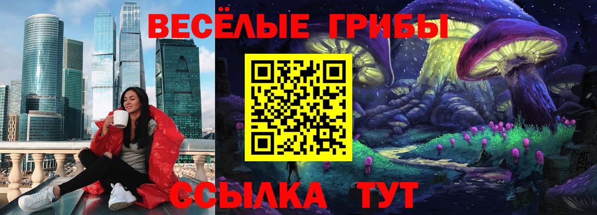 Новомосковск  продажа наркотиков  Вход с VPN  Псилоцибиновые грибы GOLDEN TEACHER 